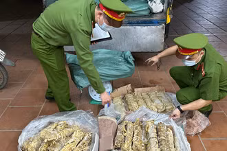 Lực lượng Công an thu giữ và xử lý 550kg lòng lợn bốc mùi hôi thối.