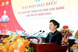 Thứ trưởng-Phó Chủ nhiệm Ủy ban Dân tộc Nông Thị Hà phát biểu ý kiến tại đại hội.