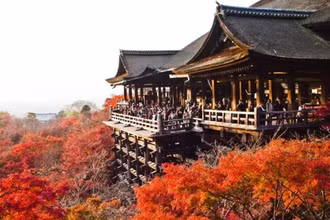 Mùa lá đỏ ở Kyoto. (Ảnh: Traveloka)