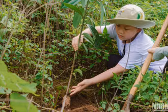 Một tình nguyện viên nhỏ tuổi hăng hái trồng cây tại dải rừng Pa Cốp-Hua Tạt, huyện Vân Hồ, tỉnh Sơn La.