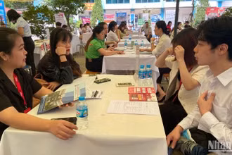 Các sinh viên sắp ra trường đến tham dự Ngày hội, tìm kiếm việc làm cho mình.