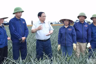Thủ tướng Phạm Minh Chính thăm, nói chuyện với công nhân Công ty cổ phần Thực phẩm xuất khẩu Đồng Giao tại cánh đồng dứa nguyên liệu. 