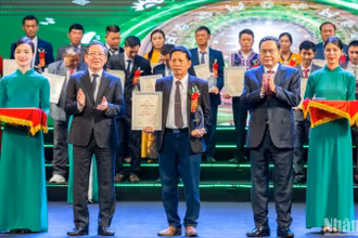 Chủ tịch Quốc hội Trần Thanh Mẫn và Chủ tịch Hội Nông dân Việt Nam Lương Quốc Đoàn trao Bằng công nhận và Cúp vinh danh cho các nông dân Việt Nam xuất sắc. (Ảnh: DUY LINH)