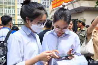 Ảnh minh họa: THÀNH ĐẠT