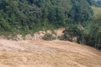 Đất, đá đổ trộm vùi lấp cây rừng tự nhiên. (Ảnh: NT)