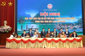 Ký kết các hợp đồng và biên bản ghi nhớ hợp tác tại hội nghị. (Ảnh: TUẤN SƠN)