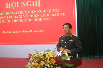 Đại tướng Phan Văn Giang, Bộ trưởng Quốc phòng phát biểu chỉ đạo hội nghị.
