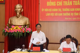 Đồng chí Trần Tuấn Anh phát biểu tại buổi làm việc. 
