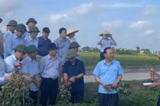 Cán bộ và người dân xã Yên Cường, huyện Ý Yên, tỉnh Nam Định trao đổi kinh nghiệm sản xuất nông nghiệp.