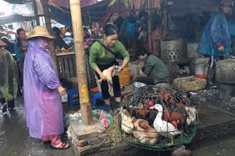 Việc buôn bán giết mổ gia súc, gia cầm nhỏ lẻ không bảo đảm dẫn đến mất vệ sinh an toàn thực phẩm và gây ô nhiễm môi trường. (Ảnh BĂNG DƯƠNG) 