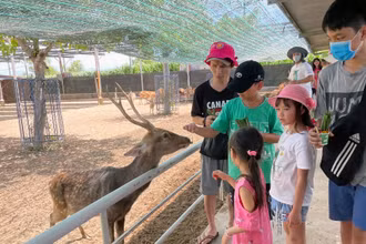 Khách du lịch tham quan trang trại Tiên Tiến Farm & Zoo ở Ninh Thuận. 