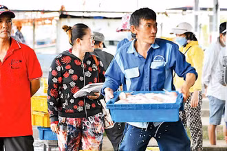 Phần lớn hải sản sau khai thác ở biển Cà Mau đều qua cảng, được kiểm soát chặt về truy xuất nguồn gốc. 