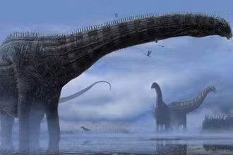 Các nhà khoa học tìm ra nguyên nhân giúp khủng long vượt qua kỷ Jura