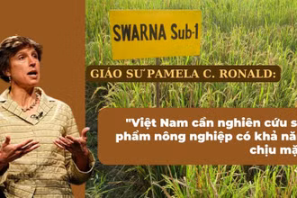 Giáo sư Pamela C. Ronald. (Ảnh: wikipedia)