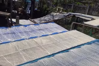 Sợi phở sắn được phơi khô.
