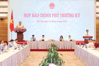 Họp báo Chính phủ thường kỳ tháng 7 diễn ra chiều 3/8. Ảnh: VGP.
