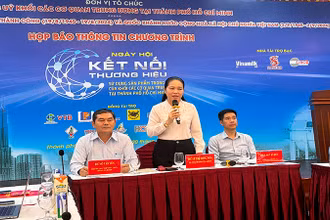Đồng chí Lê Thị Hồng Nga, Bí thư Đảng uỷ Khối các cơ quan cơ quan Trung ương tại Thành phố Hồ Chí Minh trả lời những thắc mắc của báo chí về Ngày hội.