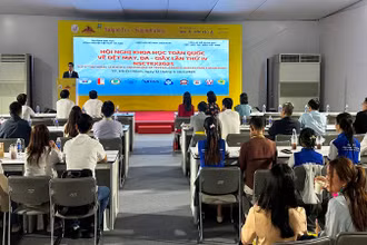 Quang cảnh hội nghị