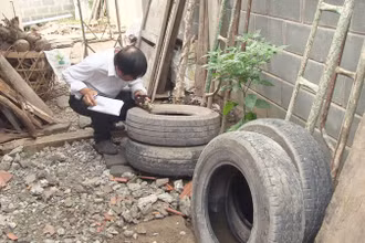 Diệt lăng quăng là giải pháp hữu hiệu trong phòng, chống bệnh sốt xuất huyết.