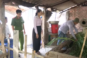 Một người lầm lỗi chăm sóc đàn vật nuôi từ nguồn vốn vay của nhà nước. 