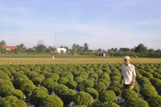 Làng hoa Mỹ Tho, xã Mỹ Phong, thành phố Mỹ Tho.