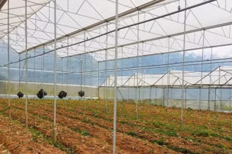 Nguồn vốn vay được Hợp tác xã dịch vụ nông nghiệp tổng hợp Tân Tiến, thành phố Đà Lạt (Lâm Đồng) đầu tư hiệu quả.