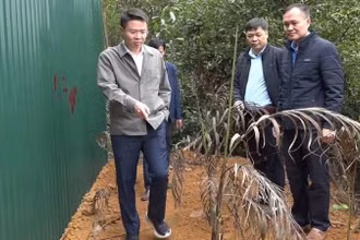 Giám đốc Công an tỉnh Phú Thọ Nguyễn Minh Tuấn kiểm tra tại hiện trường.