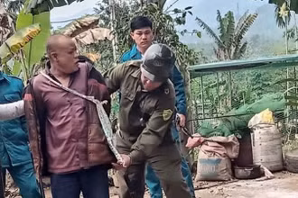 Lực lượng chức năng bắt giữ đối tượng Bùi Văn Chin.