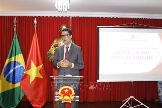 Thứ trưởng Ngoại giao Eduardo Paes Saboia phát biểu tại buổi Gặp gỡ Hữu nghị Việt Nam-Brazil. Ảnh: TTXVN