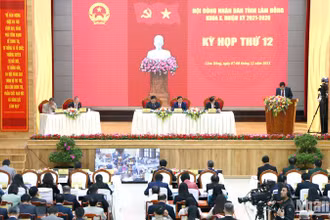 Kỳ họp thứ 12, kỳ họp thường lệ cuối năm, Hội đồng nhân dân tỉnh Lâm Đồng khóa 10, nhiệm kỳ 2021-2026, khai mạc sáng 7/12.