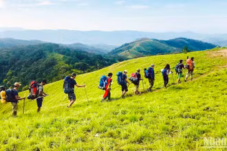 Du khách trải nghiệm cung trekking Tà Năng-Phan Dũng.