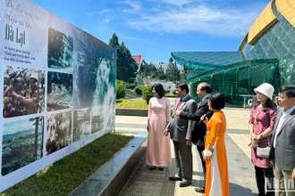 Các đại biểu tại không gian triển lãm.