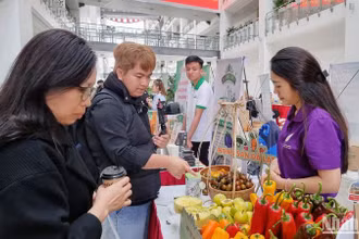 Các gian hàng trưng bày, giới thiệu nông sản đặc trưng, sản phẩm OCOP tiêu biểu tỉnh Lâm Đồng tại hội nghị.