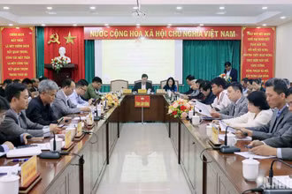 Quang cảnh hội nghị.