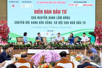Các nhà quản lý, chuyên gia, doanh nghiệp trao đổi tại diễn đàn.