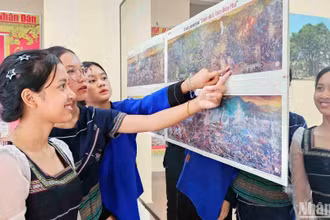 Học sinh đồng bào dân tộc thiểu số tại Lâm Đồng trải nghiệm ấn bản tranh panorama "Chiến dịch Điện Biên Phủ".