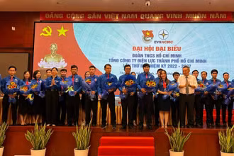 Ban chấp hành Đoàn thanh niên EVNHCMC nhiệm kỳ 2022-2027 ra mắt đại hội