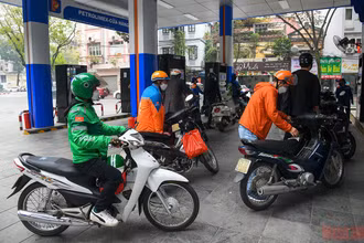 Ảnh: THÀNH ĐẠT