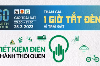 Chiến dịch Giờ Trái đất năm 2023: Chung tay tiết kiệm điện, hướng tới tương lai xanh 