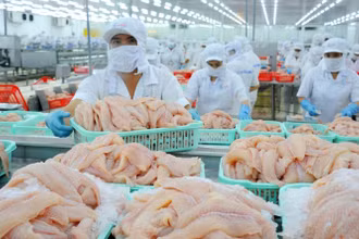 Thủy sản là mặt hàng xuất khẩu tiềm năng sang thị trường Trung Quốc. (Ảnh: LÊ HOÀNG VŨ)