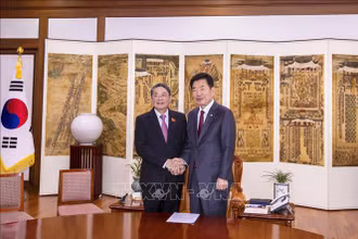Phó Chủ tịch Quốc hội Nguyễn Đức Hải hội kiến Thủ tướng Hàn Quốc Han Duck-soo. (Ảnh: TTXVN)