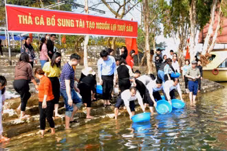 Thả cá bổ sung nguồn lợi thủy sản hồ Thác Bà. (Ảnh: Báo điện tử Đảng Cộng sản)