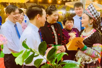 Giới thiệu sản phẩm chè Shan tuyết với du khách.