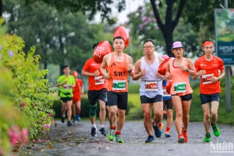 Các vận động viên tham gia giải chạy Press Marathon 2023.