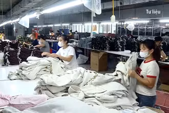 [Video] Giảm sốc về thuế quan, ngành dệt may vững vàng tiến bước