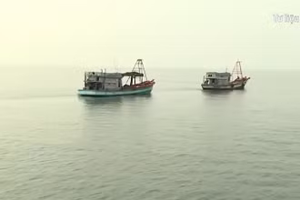 [Video] Bàn giải pháp phát triển ngành thủy sản bền vững