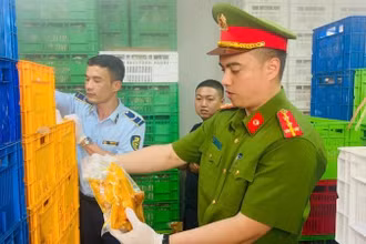 [Video] Hà Nội thu giữ 20 tấn thực phẩm không rõ nguồn gốc 