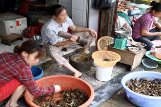 [Video] Tăng cường kiểm tra, xử phạt kinh doanh thực phẩm, nội tạng không rõ nguồn gốc
