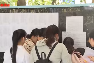 [Video] Hướng dẫn đăng ký nguyện vọng thi vào lớp 10 công lập của Hà Nội