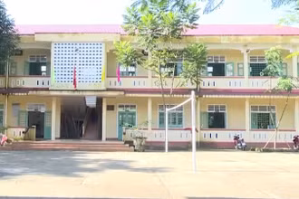 [Video] Nhiều địa phương miễn 100% học phí cho học sinh và trẻ mầm non